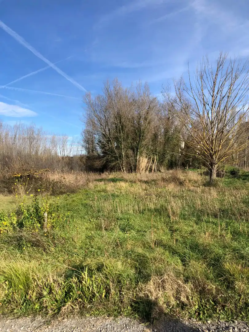 Terreni e lotti in vendita a Murillo de Río Leza, imagen 9