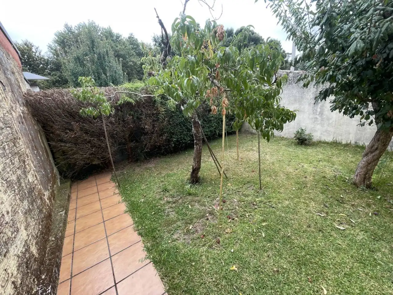 Maison avec jardin à vendre à Camino Cerdeira, imagen 23