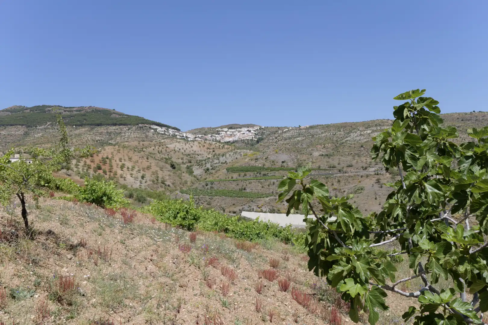 Exterior view of Land for sale in Murtas