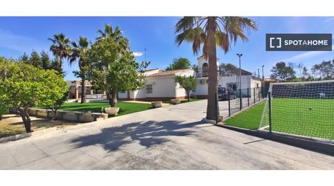 Photo 3 of Apartment to share in Sanlúcar la Mayor, Sevilla