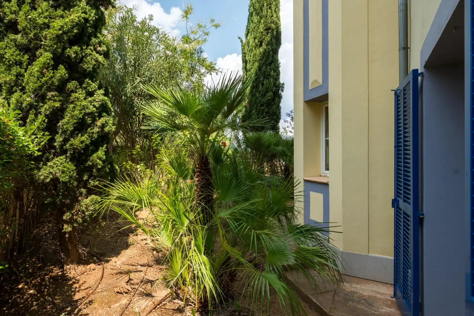 Vista exterior de Planta baixa en venda en Calvià amb Terrassa i Piscina comunitària