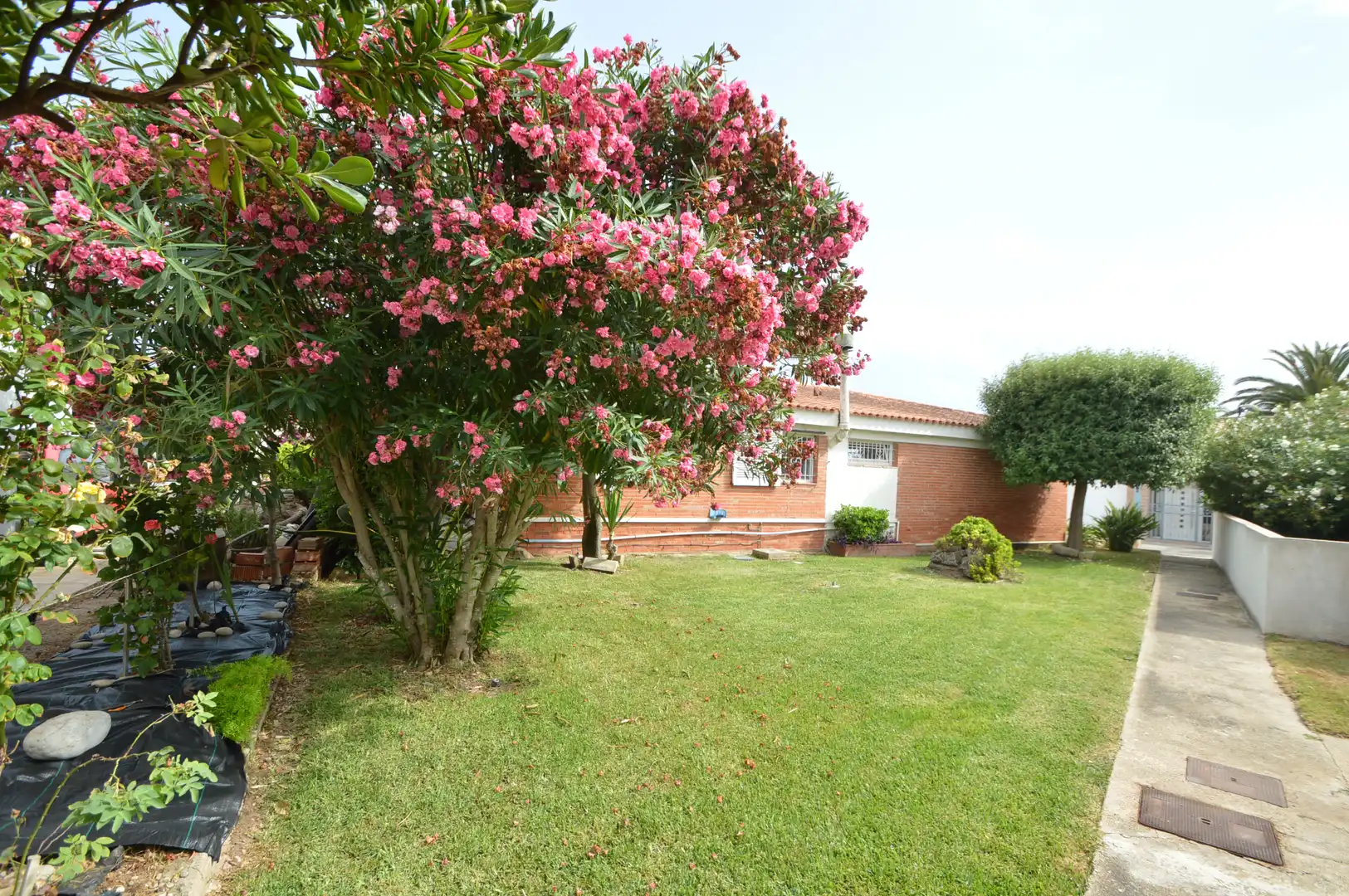 Jardí de Casa o xalet en venda en Vinaròs amb Aire condicionat, Calefacció i Jardí privat