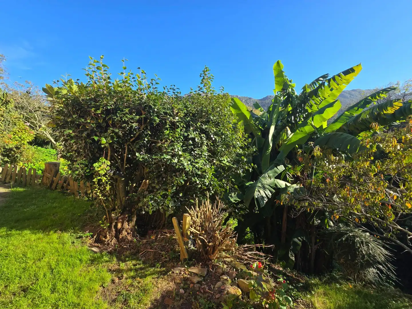 Casa o chalet en venta en Ribadesella, Asturias