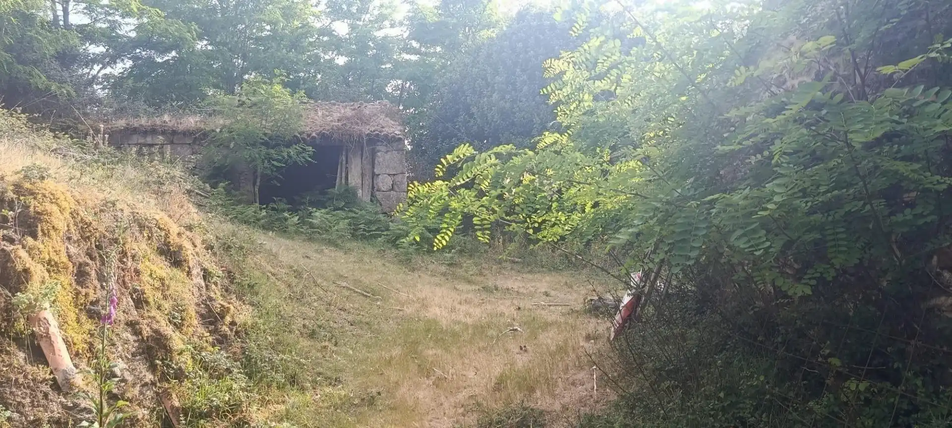 Finca rústica en venta en A Estrada 