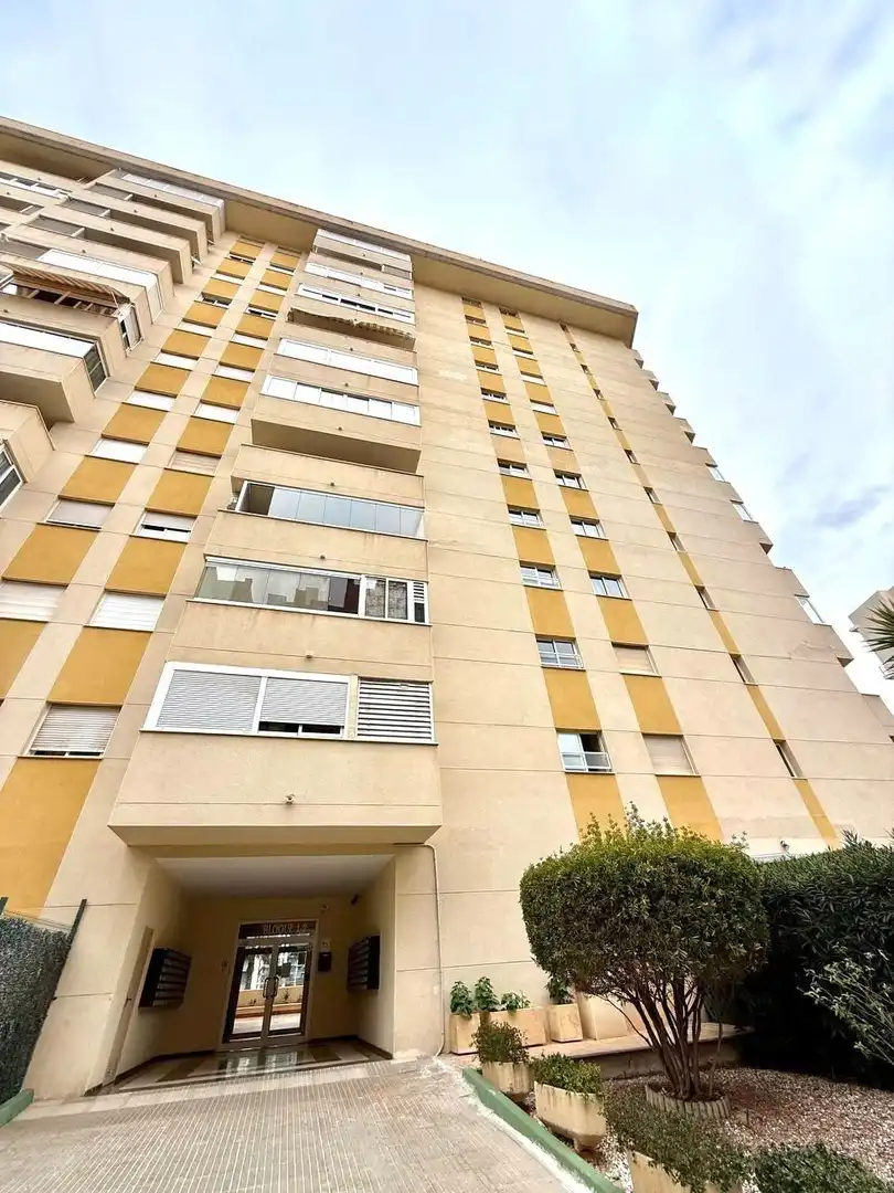 Apartment mit Terrasse zum Verkauf in Centro Urbano, imagen 10