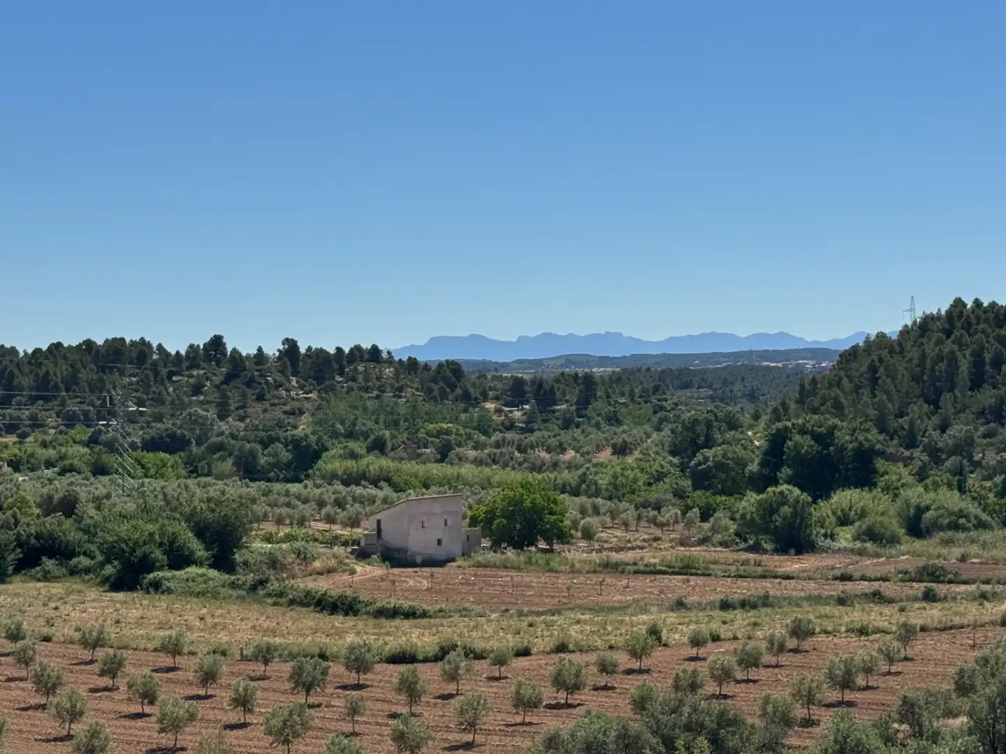 Terreno rustico in vendita a Avenida Virgen de Gracia 17B, imagen 2