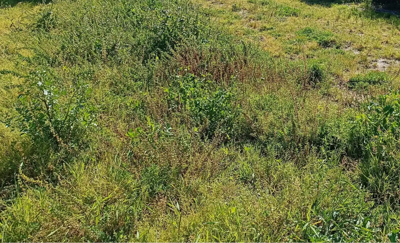 Terreni e lotti in vendita a Centro
