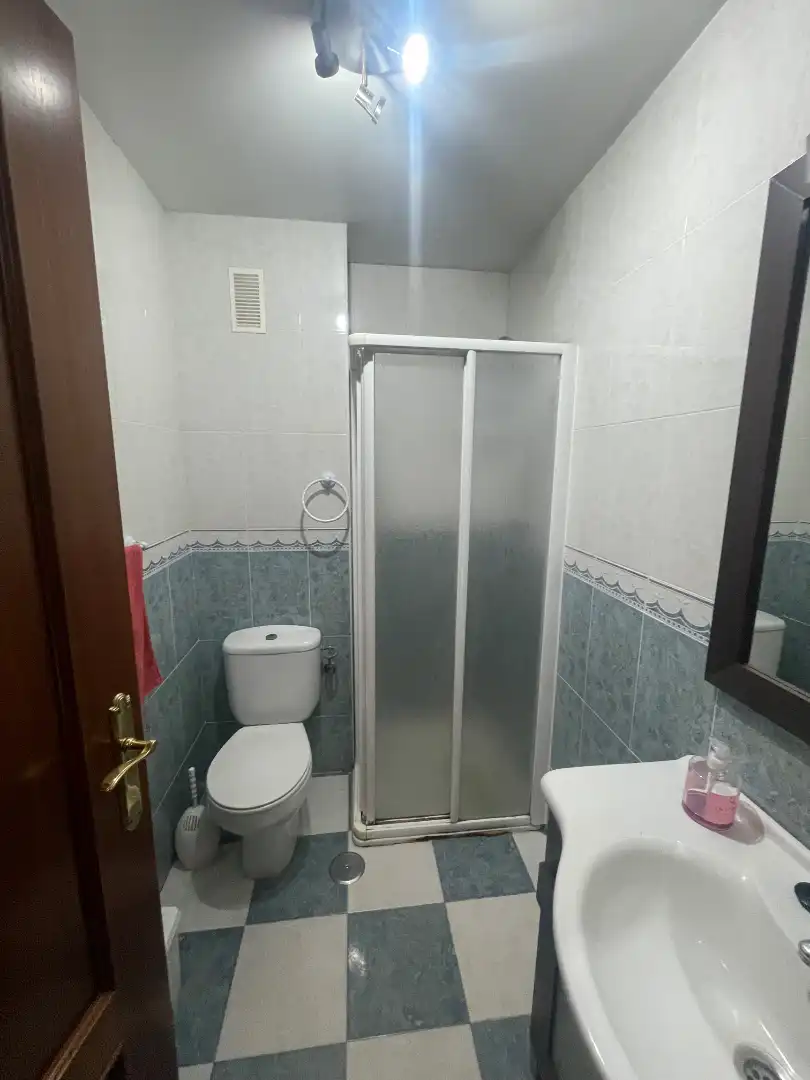 Piso con terraza en venta en Calle Vicente Aleixandre 1, imagen 30