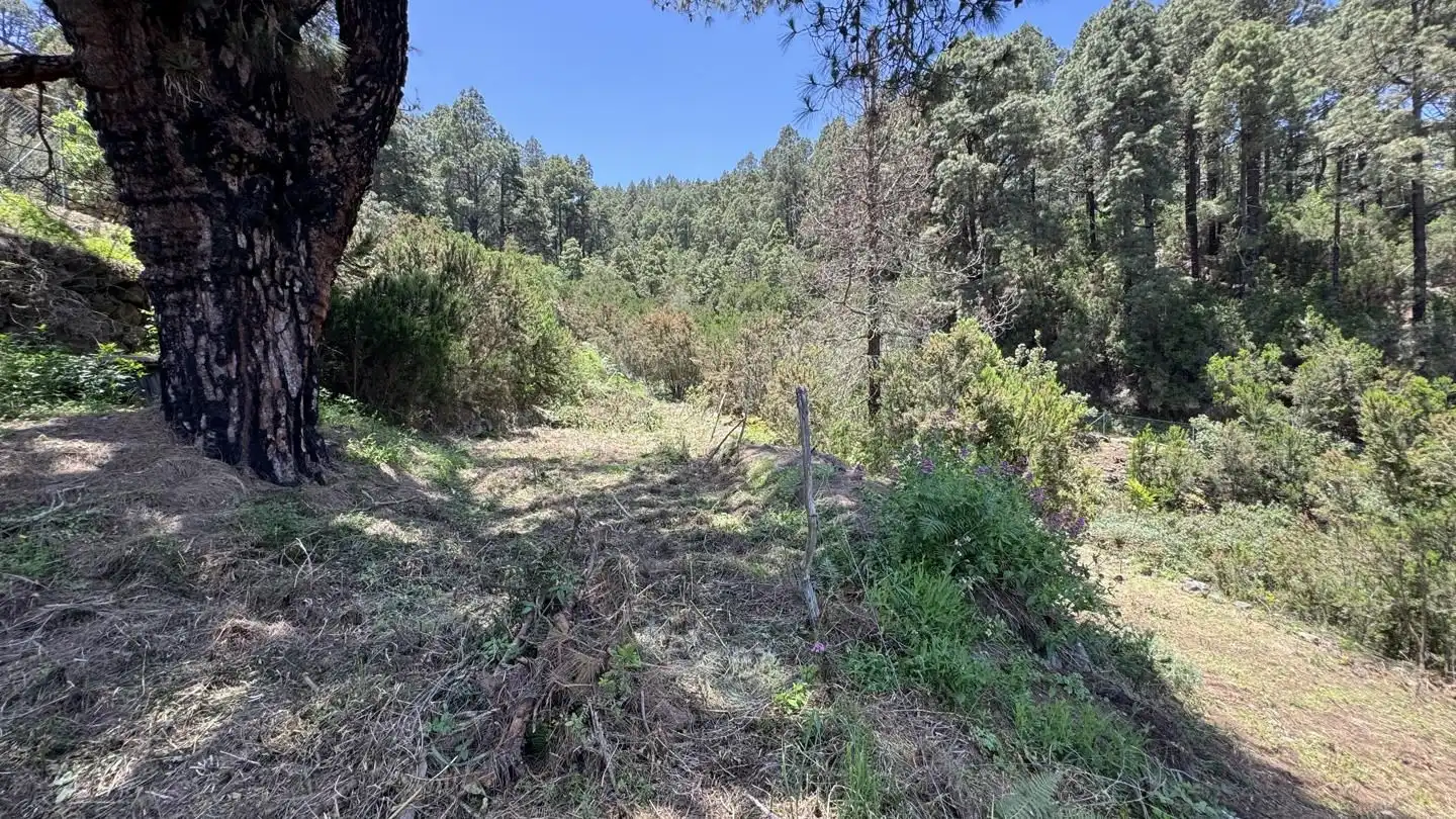 Lands and plots for sale in La Peña 1, imagen 15