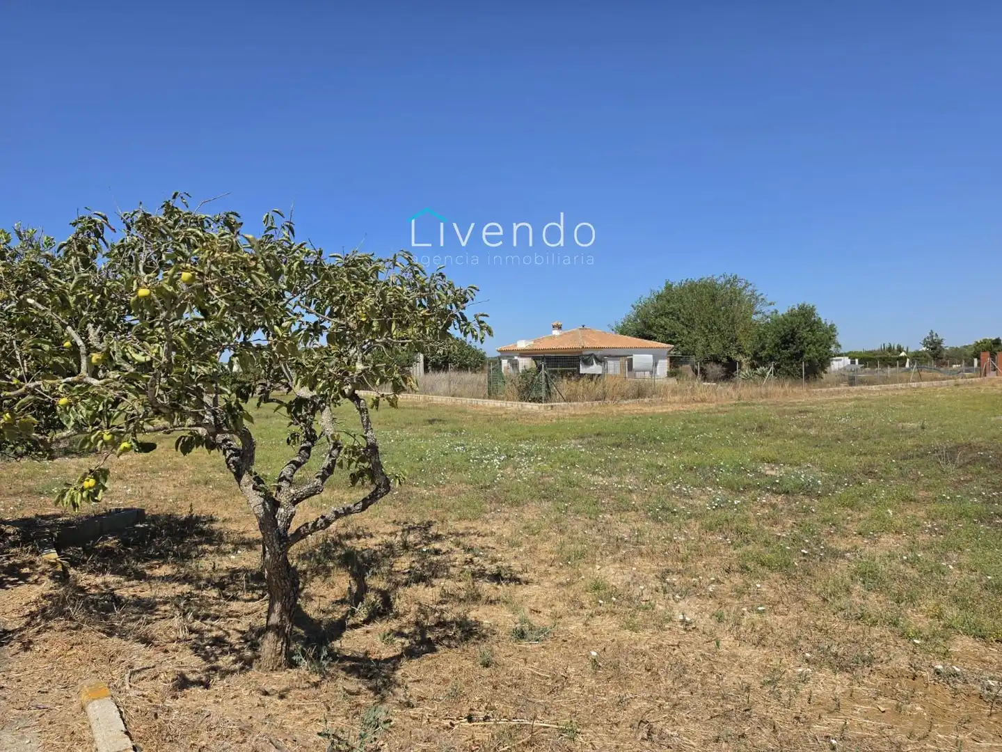 Villa mit Pool zum Verkauf in Pelagatos - Pago del Humo, imagen 24