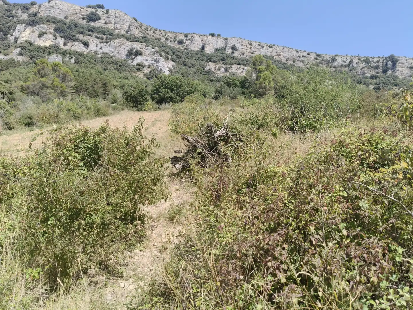 Terreny rústic en venda a Etxauri - POLIGONO 1 PARCELA 304 ETXAURI, imagen 3