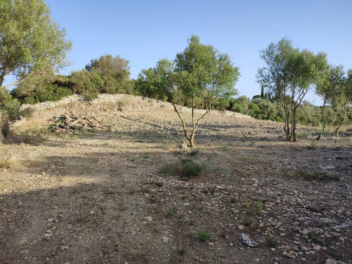 Wohnbaugrundstück zum Verkauf in Petra, imagen 7