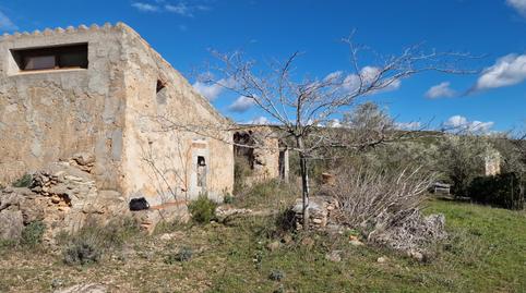 Foto 4 de Casa o chalet en venta en El Perelló, Tarragona