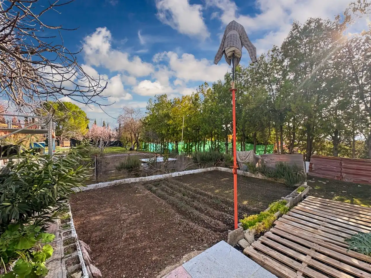 Jardín de Casa o chalet en venta en Estremera, Madrid