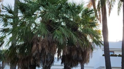 Foto 3 de Apartament de lloguer a La Alquería, Málaga