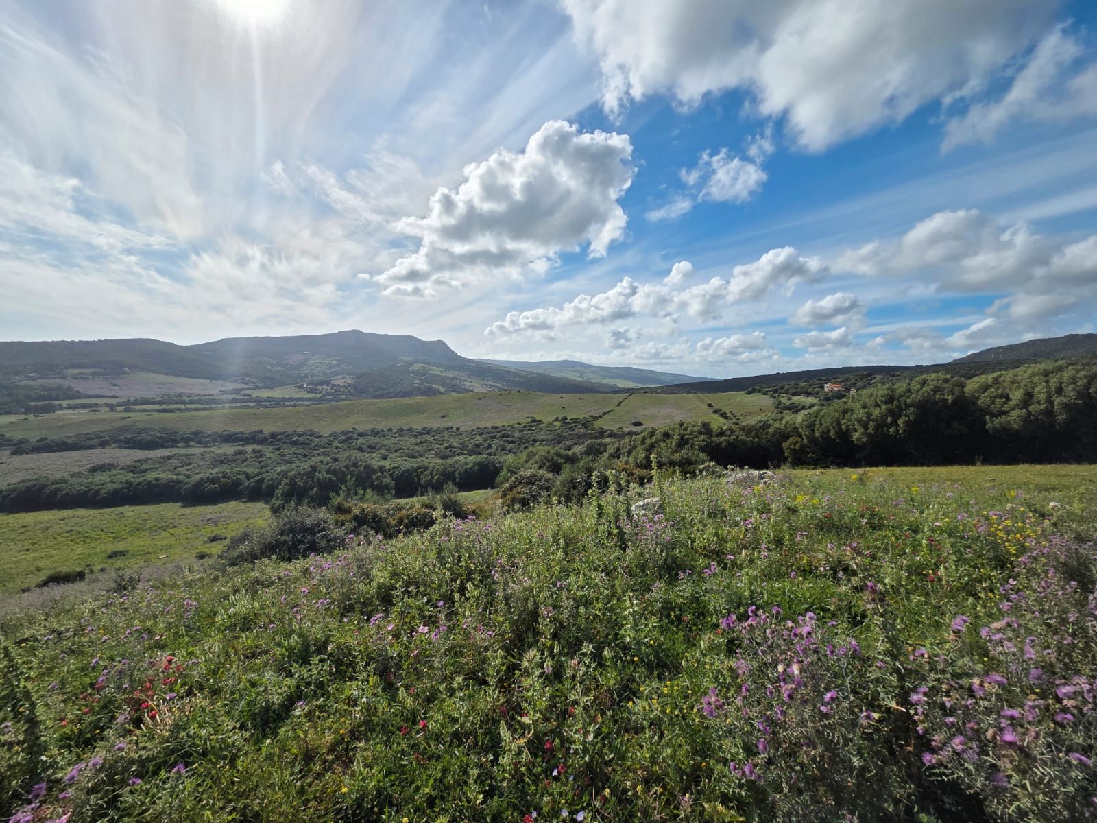 Land for sale in Tarifa