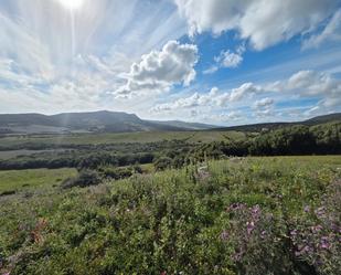 Land for sale in Tarifa