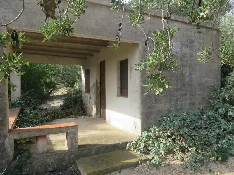 Terreno rustico in vendita a Partida Aguila