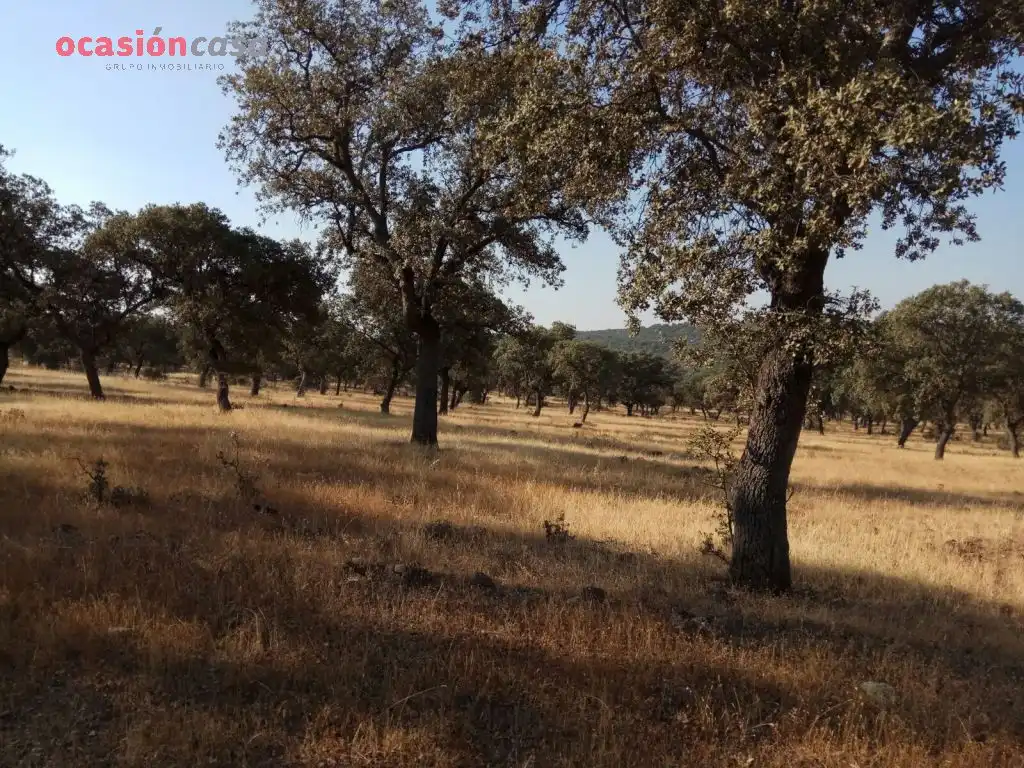 Country homes for sale in Torrecampo