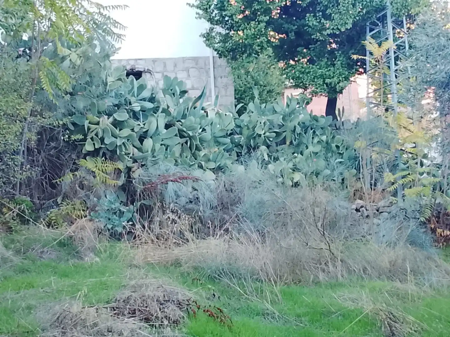 Terreni e lotti in vendita a El Hoyo de Pinares, imagen 2