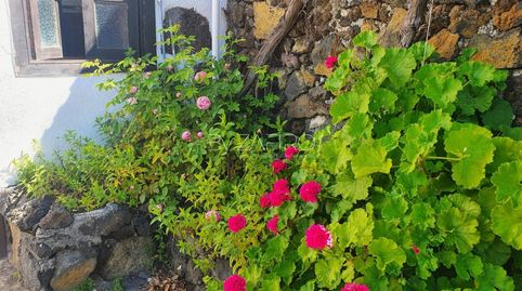 Foto 4 de Casa o chalet en venta en Calle Vereda, El Pinar de El Hierro, Santa Cruz de Tenerife