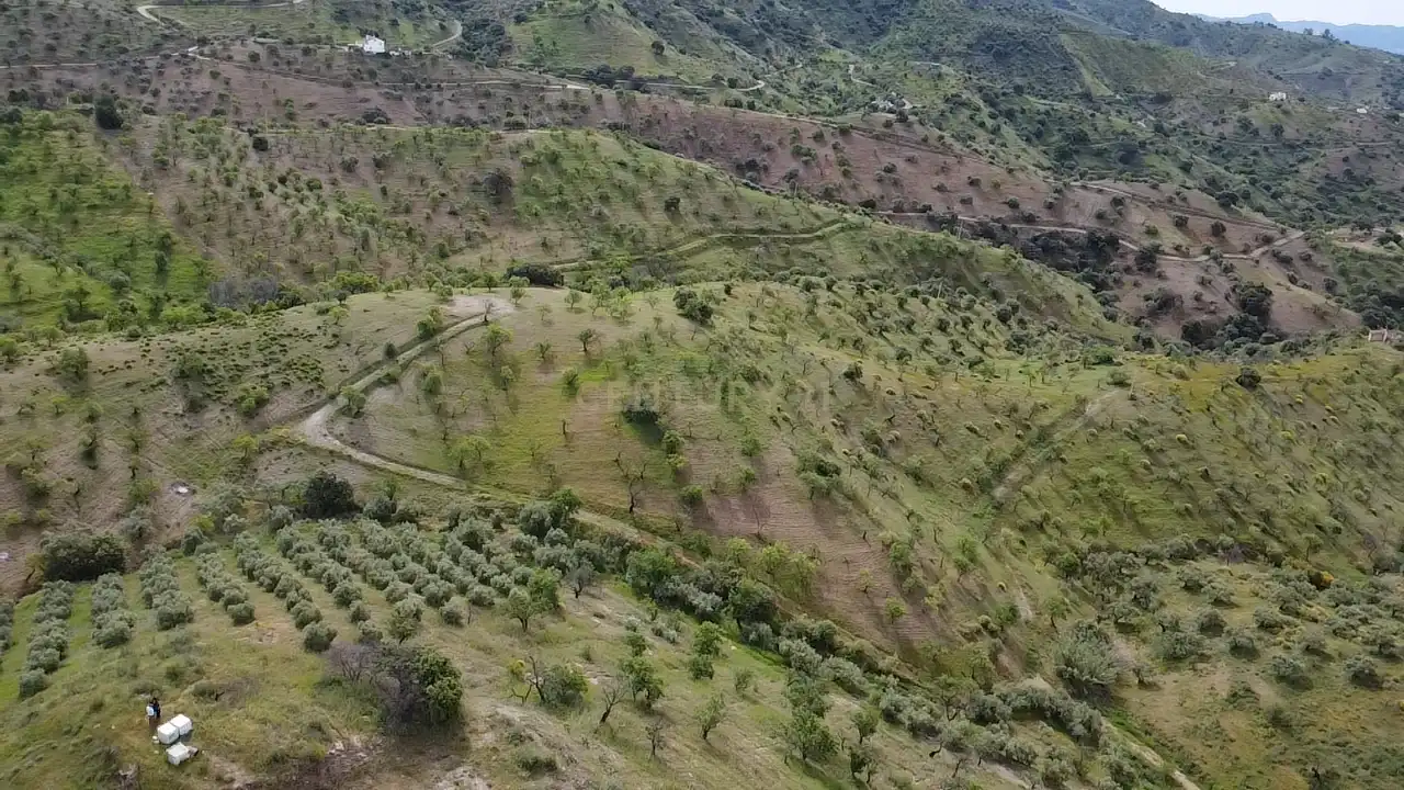 Terreni e lotti in vendita a Majadas viejas, poligono 5 parcela, Málaga, Spain, imagen 4