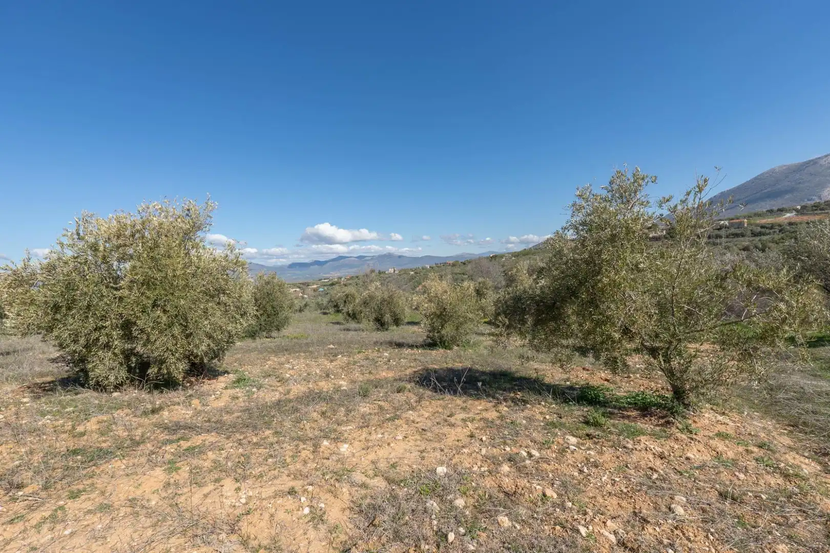 Terreni e lotti in vendita a Cogollos de la Vega, imagen 15