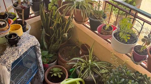 Foto 4 de Pis en venda a Calle Santo Domingo, Centro - Casco antiguo, Valencia