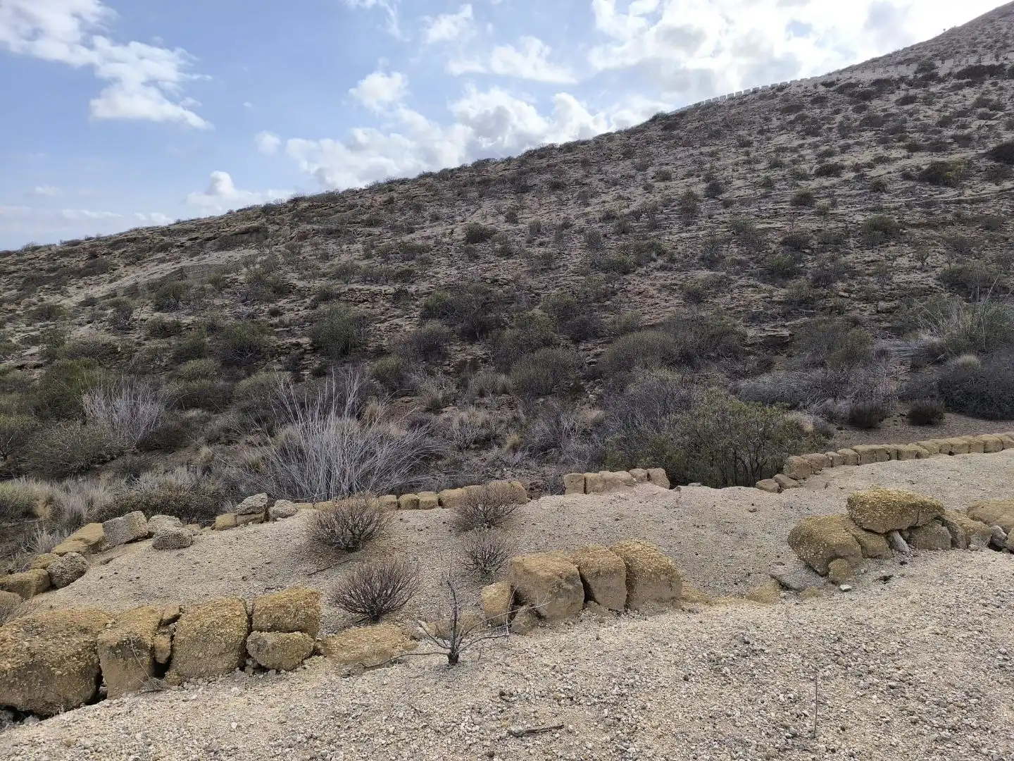 Land for sale in Fasnia