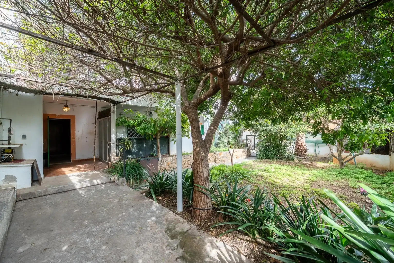 Jardí de Casa adosada en venda en Calvià amb Jardí privat i Terrassa