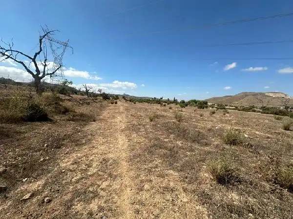 Terreno rústico en venta en Hondón de los Frailes, imagen 3