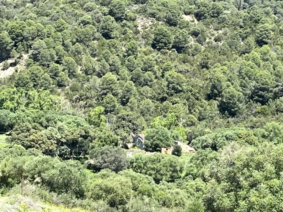 Casa rústica en venda a Gaucín, imagen 5