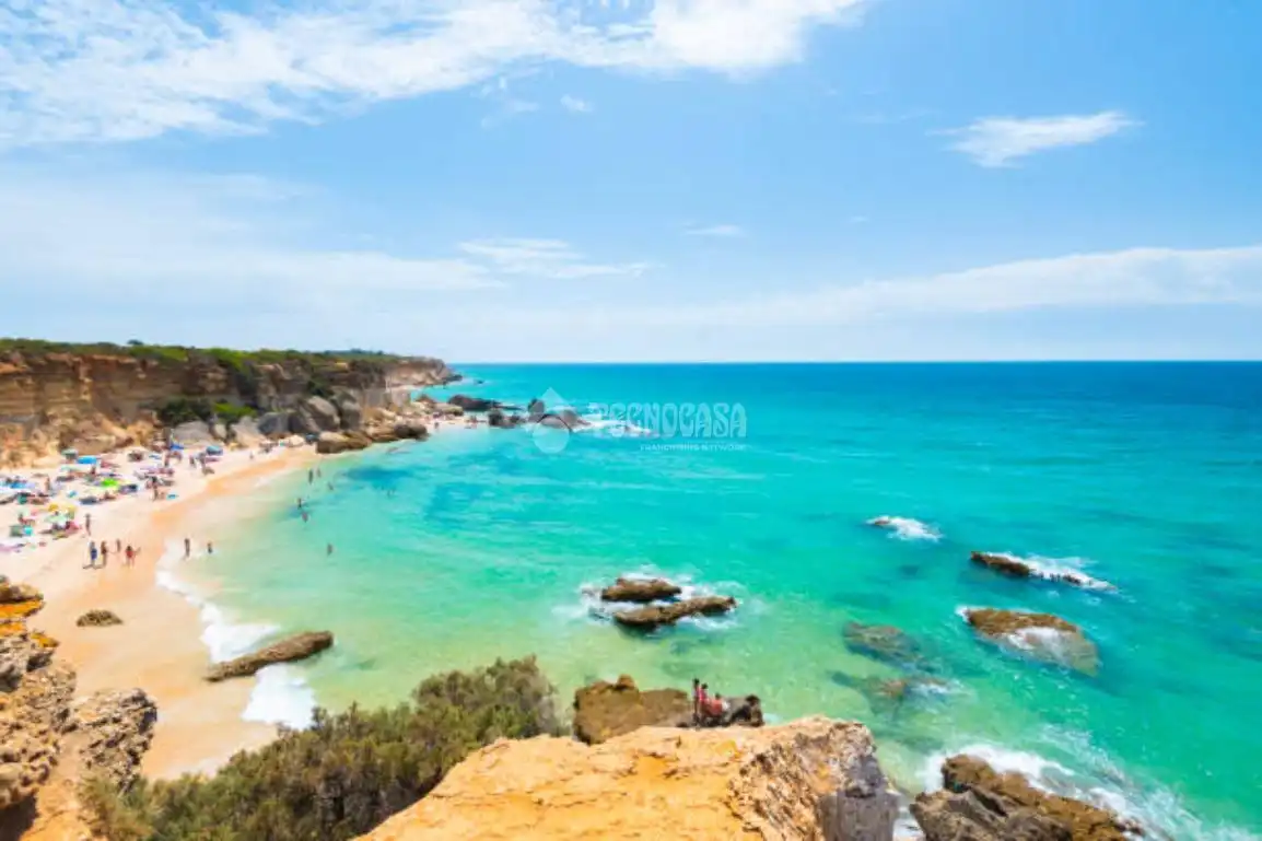 Rural land for sale in Conil, imagen 10