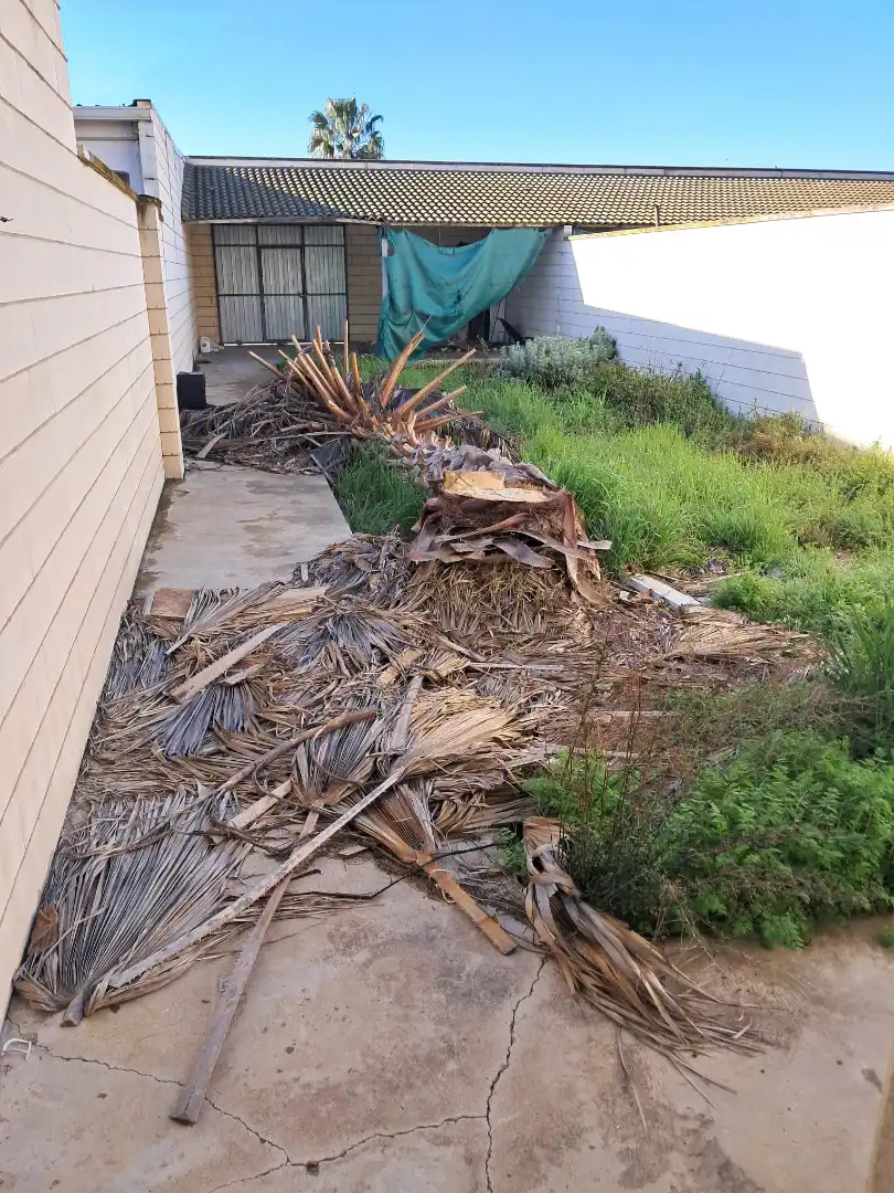 Jardín de Casa o chalet en venta en Villar de Rena