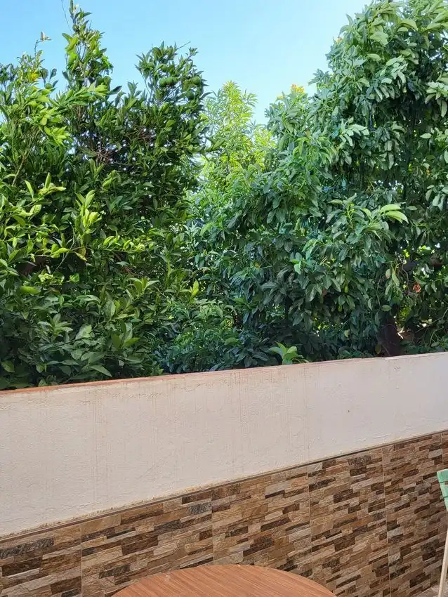 Terraced house for sale in Sebastián Pineda, imagen 35