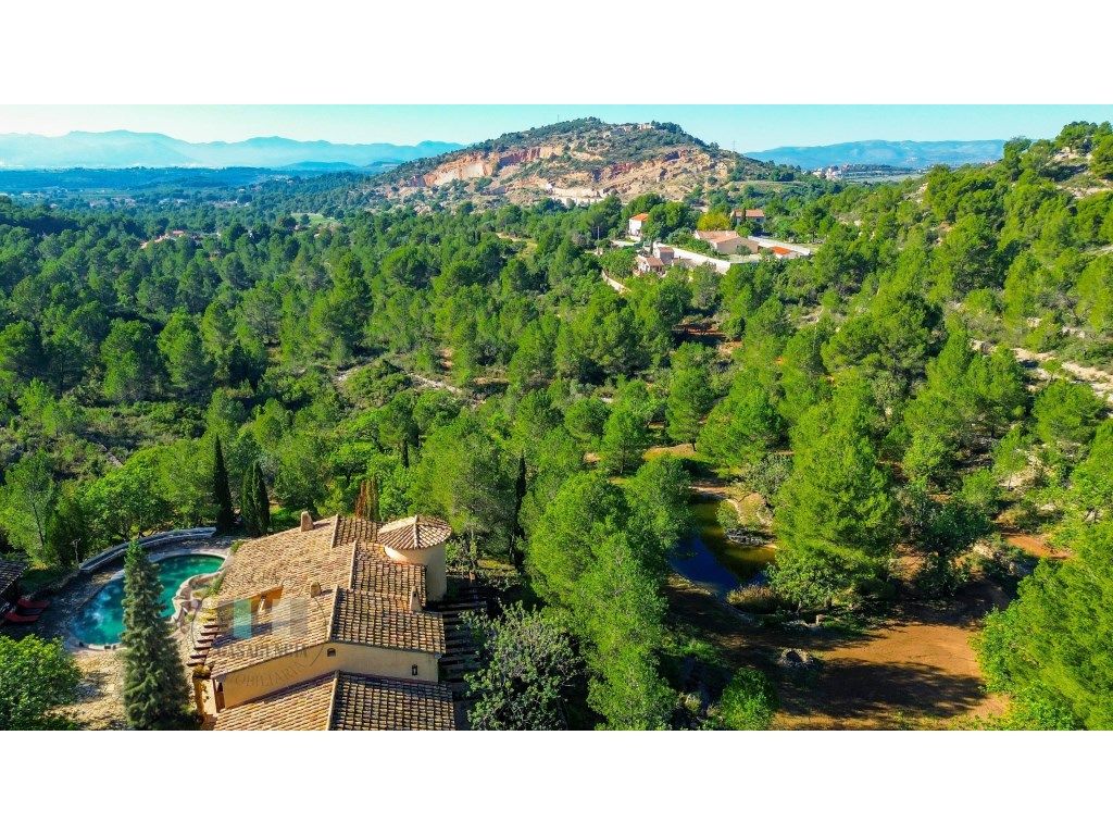 Exterior view of Premises for sale in Borriol