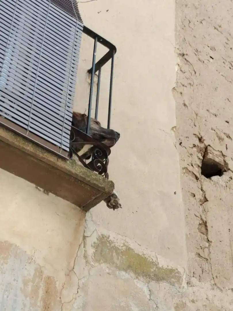Terrassa de Finca rústica en venda en Villafeliche amb Aire condicionat, Jardí privat i Balcó