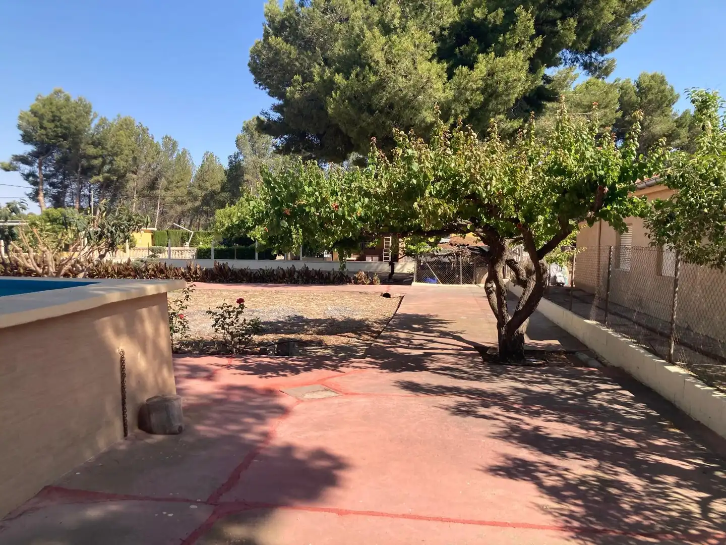 Jardín de Casa o chalet en venta en Villena con Jardín privado, Piscina y Amueblado