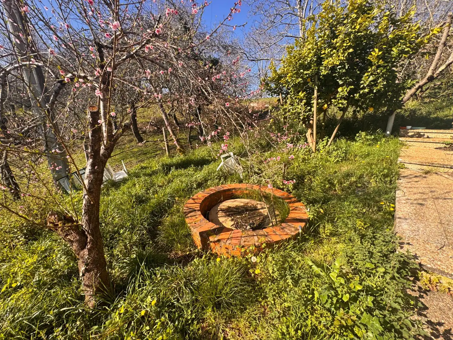 Jardín de Casa o chalet en venta en Piloña con Calefacción