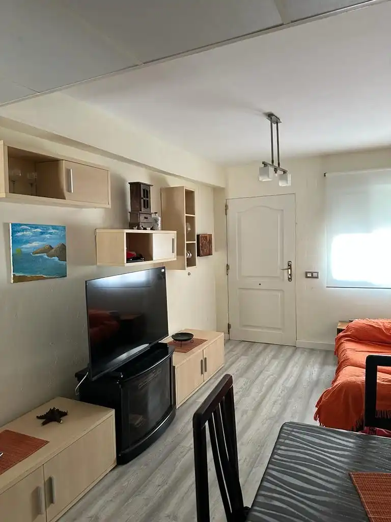 Sala d'estar de Casa adosada en venda en Alcanar amb Terrassa, Traster i Moblat