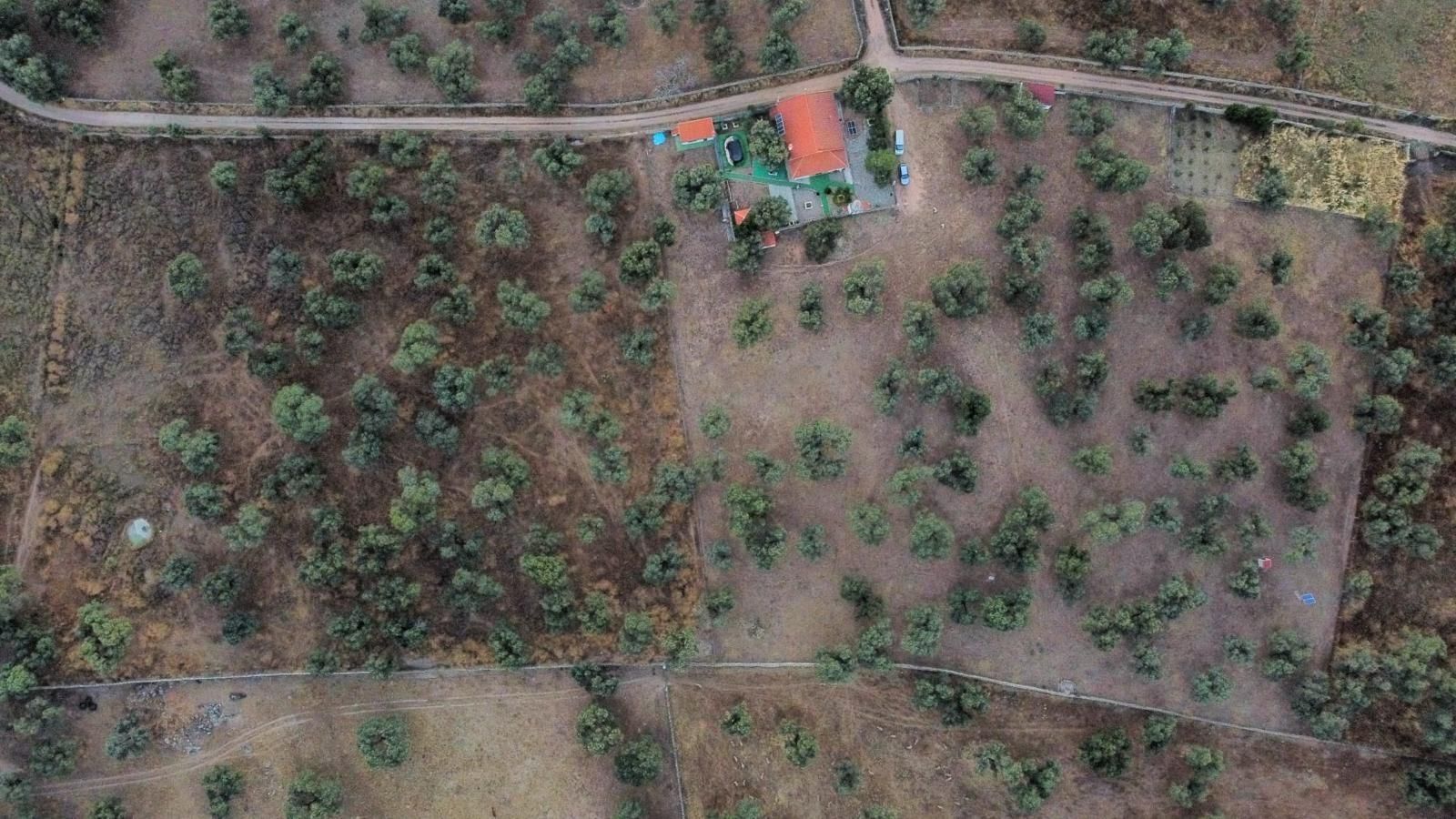 Finca rústica en venta en Villanueva de Córdoba