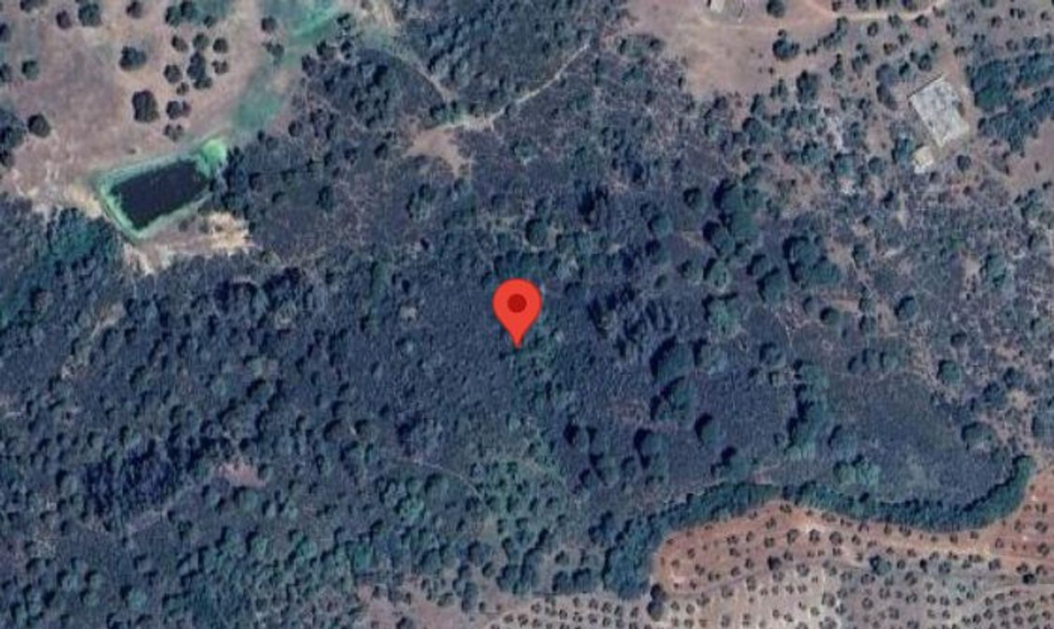 Country house for sale in Paterna del Campo