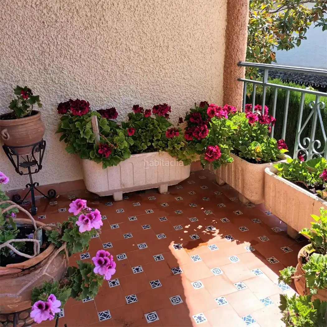 House with garden for sale in Calle Álamos 6, imagen 6