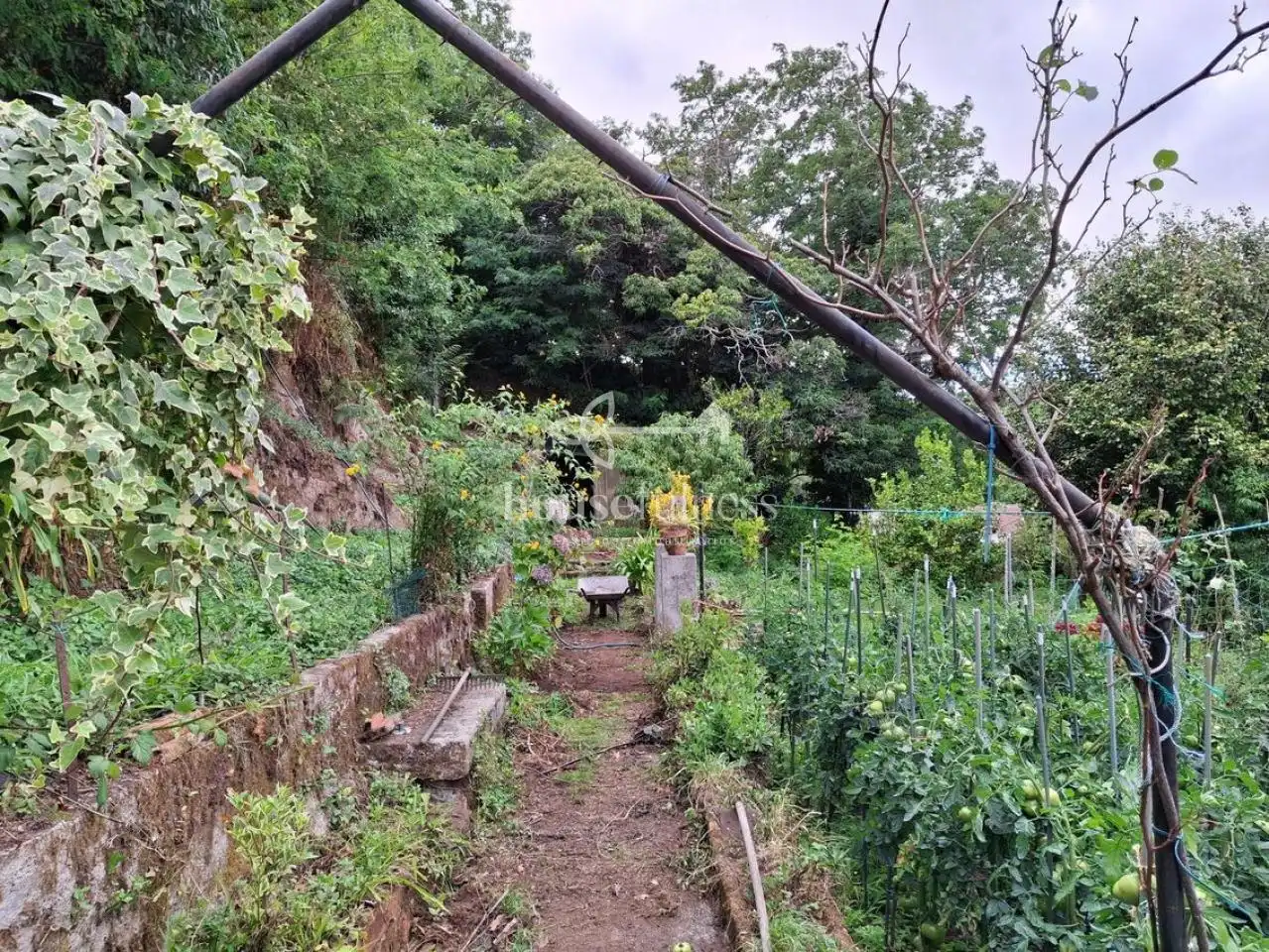 Casa rustica con giardino in vendita a Área Rural, imagen 26
