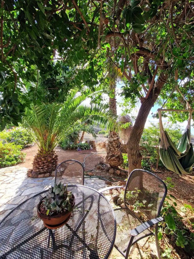Villa avec piscine à vendre à el Roquillo, imagen 40