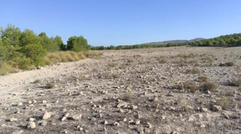 Terreno en Cieza Murcia, immagine 2