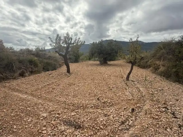 Terreny residencial en venda a La Romana, imagen 20