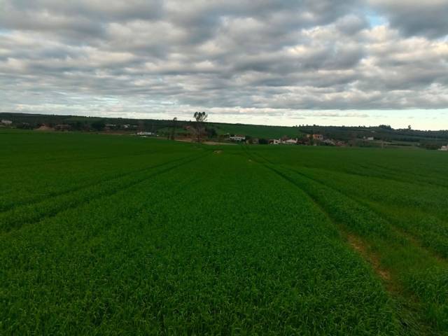 Terreno en Venta en Lugar Camino Corrales, 1 en Gibraleón