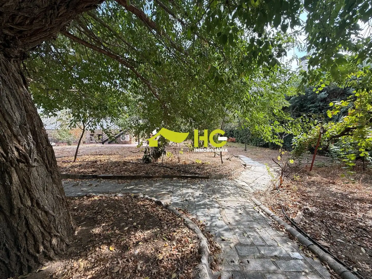 Estudi de lloguer a El Bosque, imagen 33