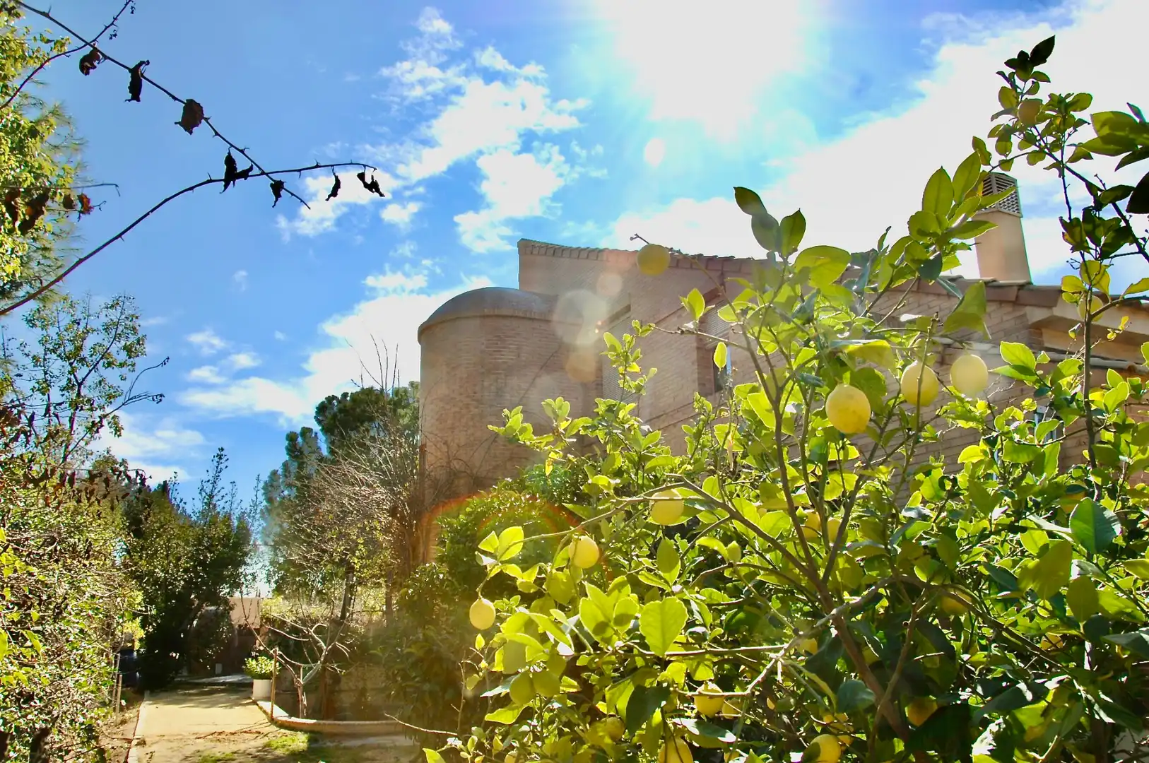 Vista exterior de Casa o xalet en venda en Alicante / Alacant amb Aire condicionat, Calefacció i Jardí privat